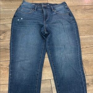 Sonoma Blue Straight Leg Denim Pants